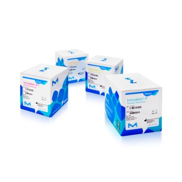 IEVH85R Immobilon-E PVDF Membrane